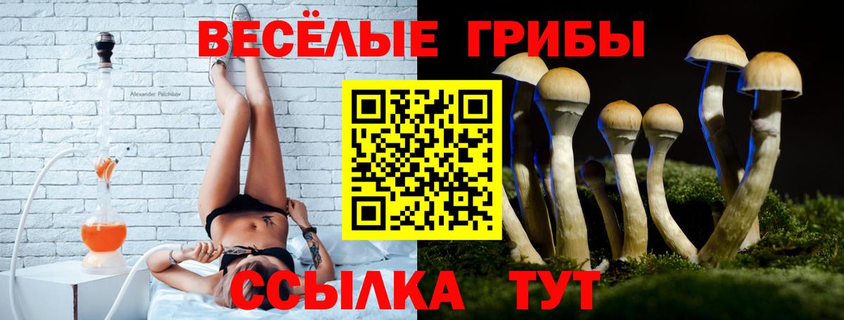 Псилоцибиновые грибы ЛСД Новотроицк